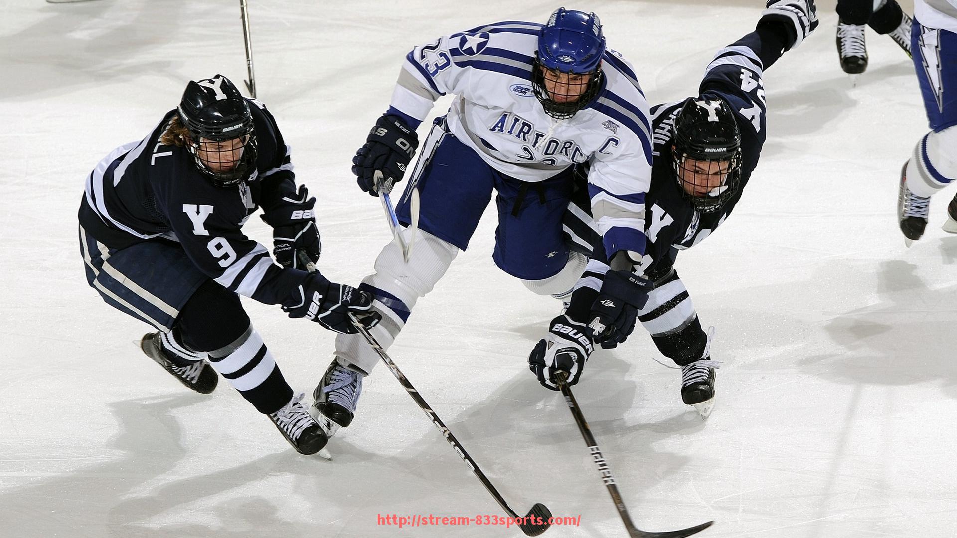 833体育直播-选择哪种健身器材厂家更适合体育运动设备采购需求分析