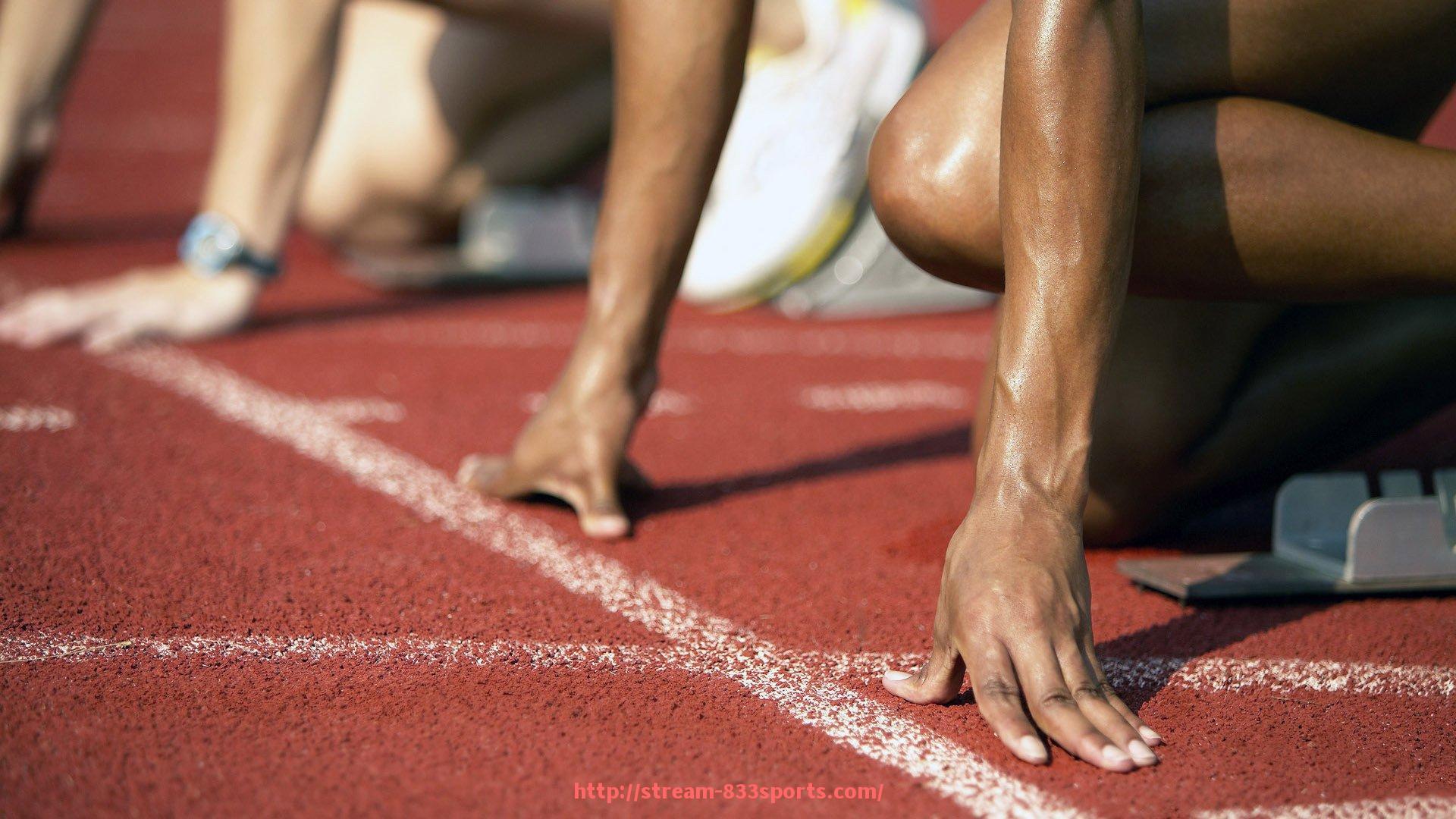 833体育直播-太原地区健身器材市场与实体店推荐